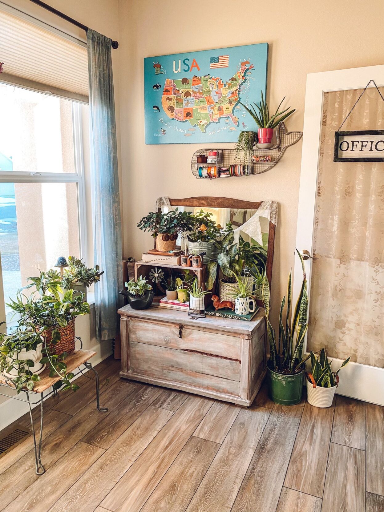 Tips for happy, healthy houseplants